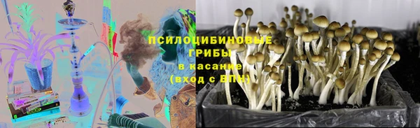 круглые Гусиноозёрск