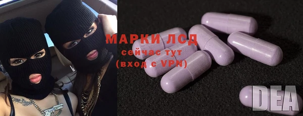 хмурый Гусь-Хрустальный