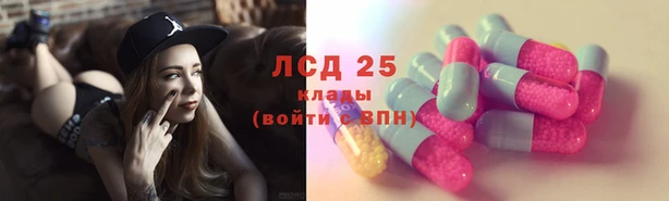 хмурый Гусь-Хрустальный