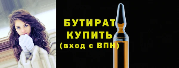 хмурый Гусь-Хрустальный