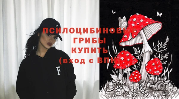 круглые Гусиноозёрск