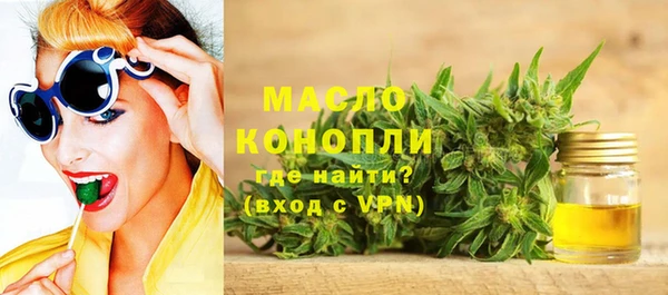 хмурый Гусь-Хрустальный