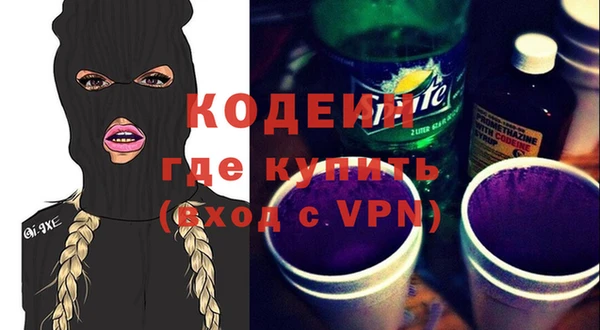 хмурый Гусь-Хрустальный