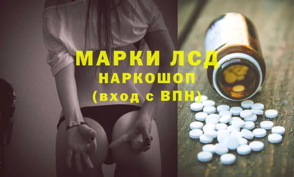 хмурый Гусь-Хрустальный